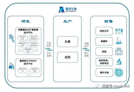 雅睿生物IPO被终止：曾拟募资7.5亿 业绩增长主要靠疫情发展