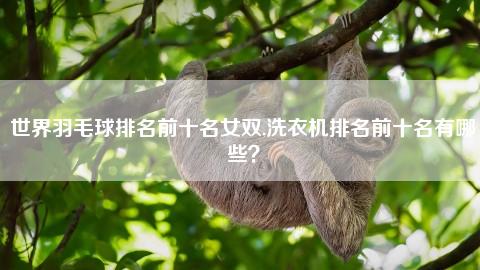 {娛樂城}(世界羽毛球排名第一)